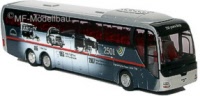 250j-man-coach